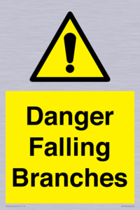 Danger Falling Branches